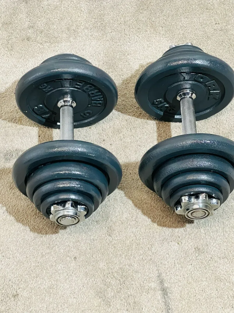 2 X 20 KG ADJUSTABLE DUMBBELLS - Image 1