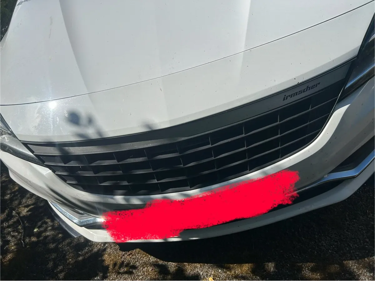 Astra K Irmscher Grille - Image 3