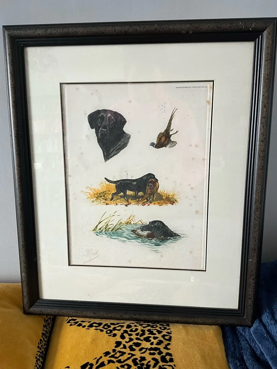 ‘Labrador hunting Pheasant’ by Artist Boris Riab - Image 1