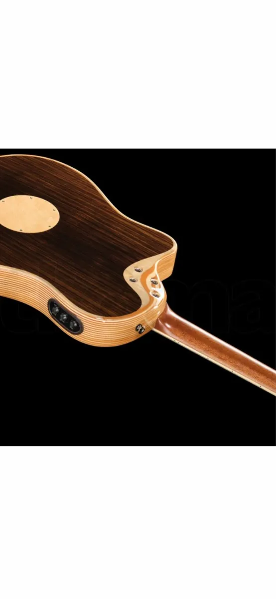 LR BAGGS AEG 1 E ACOUSTIC - Image 1