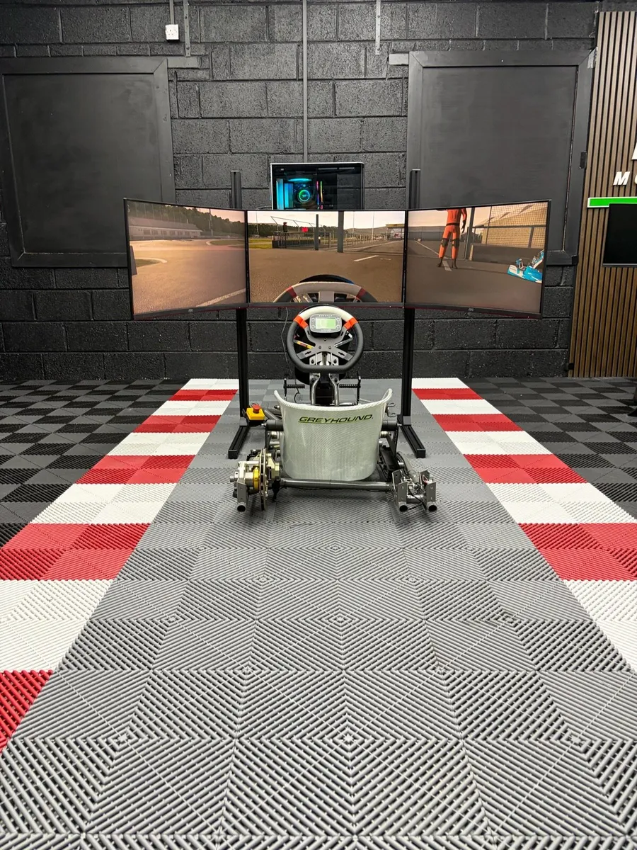 Turnkey Race Kart Simulator - Image 2