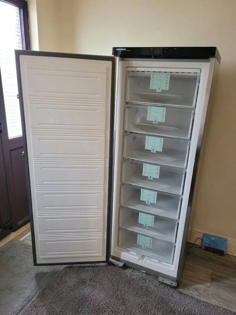 Freezer - Image 2