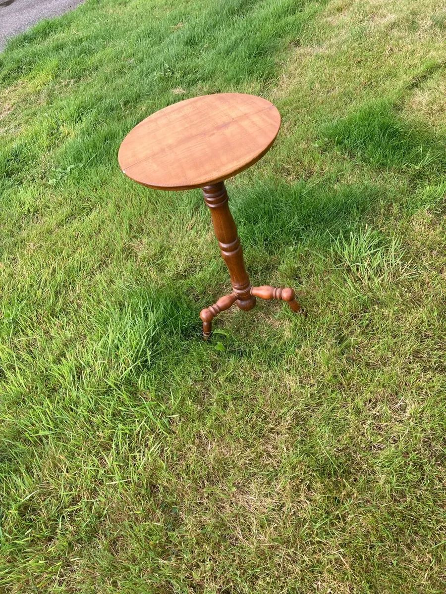 Plant table antique - Image 2