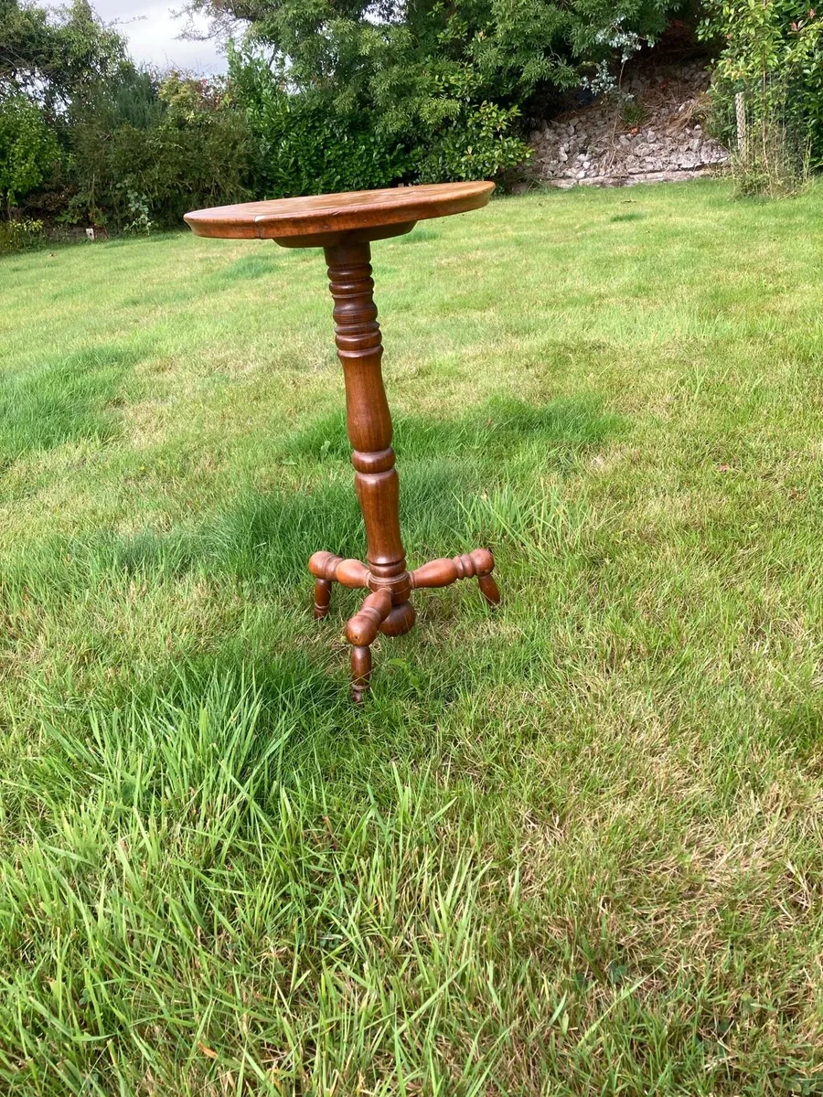 Plant table antique - Image 3