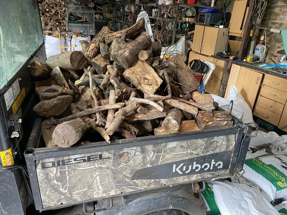Firewood - Image 3