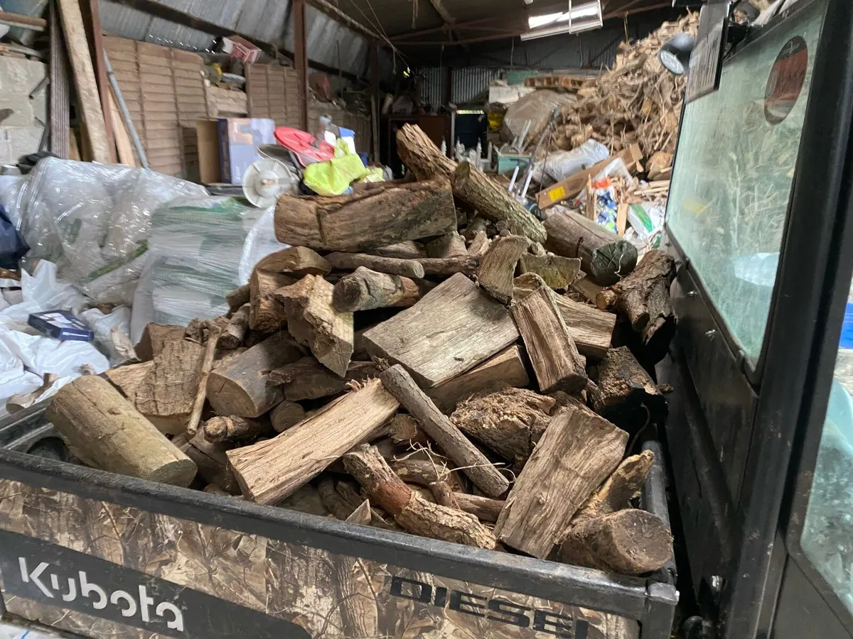 Firewood - Image 4