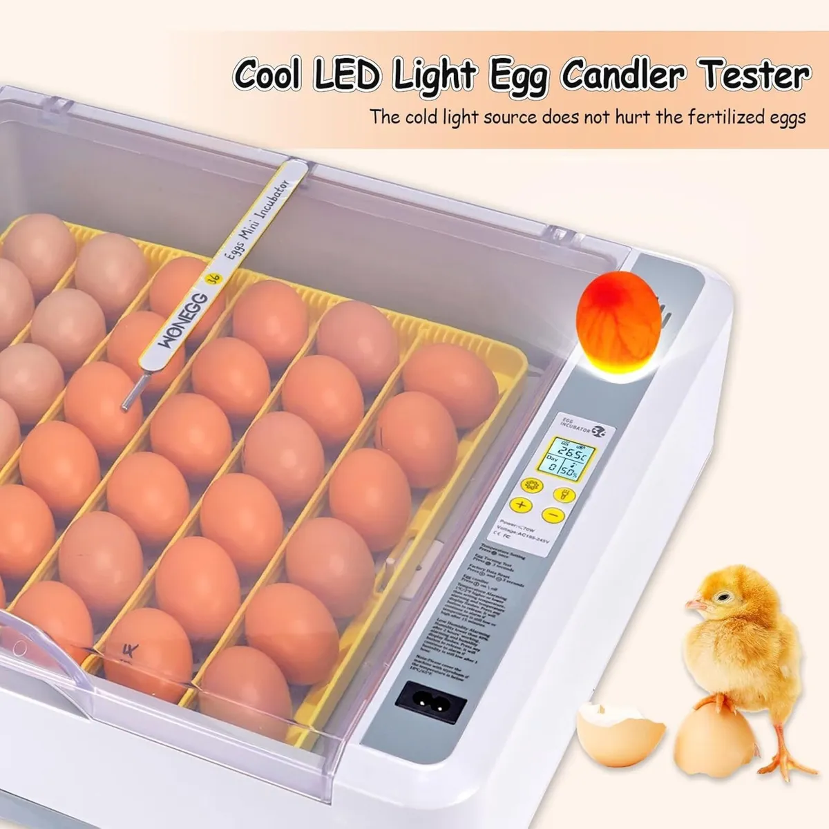 36 Egg Incubator Fully Automatic Bird Hatcher - Image 3