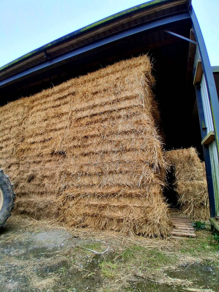Wheat straw
