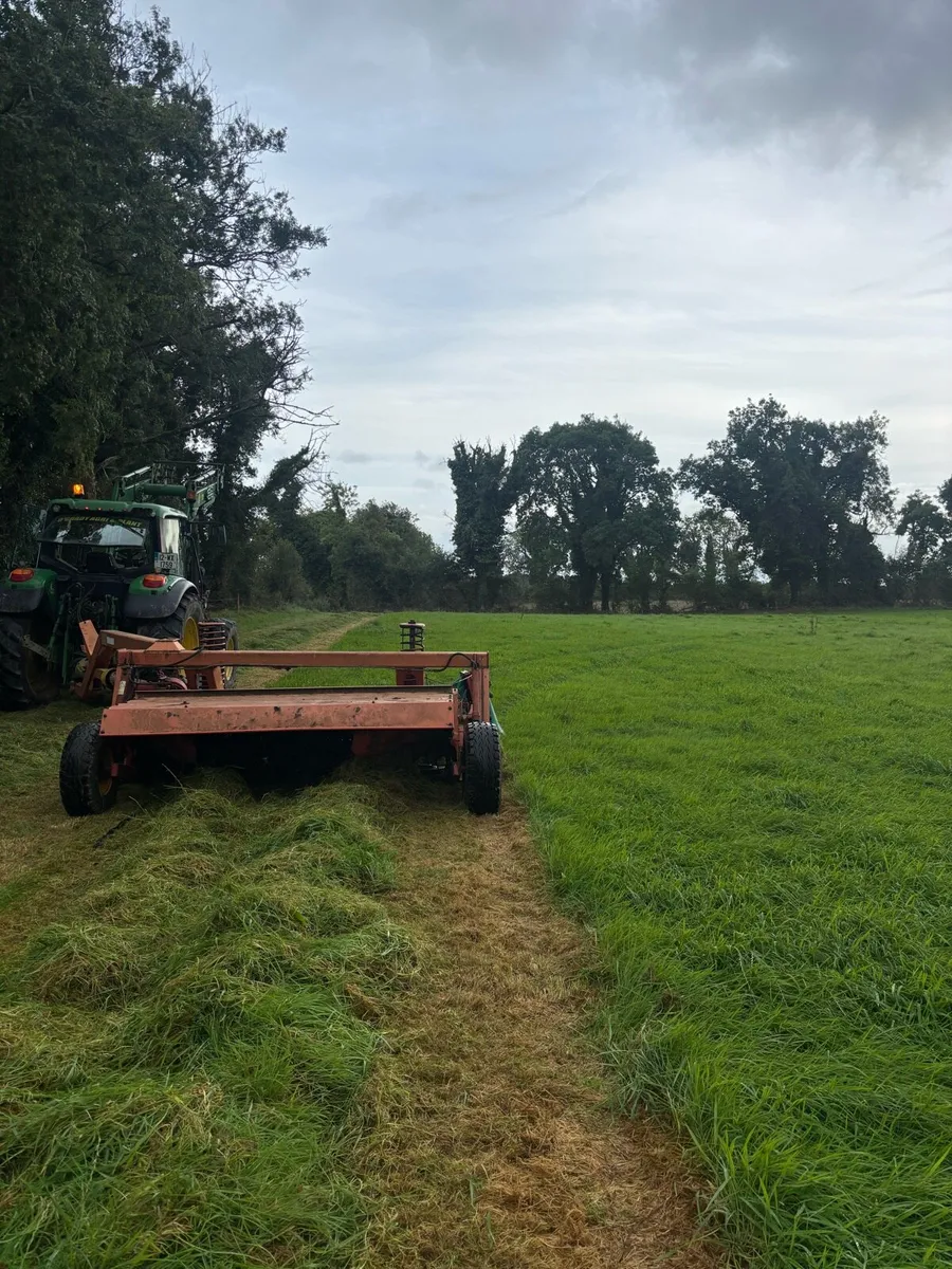 Second cut silage - Image 2