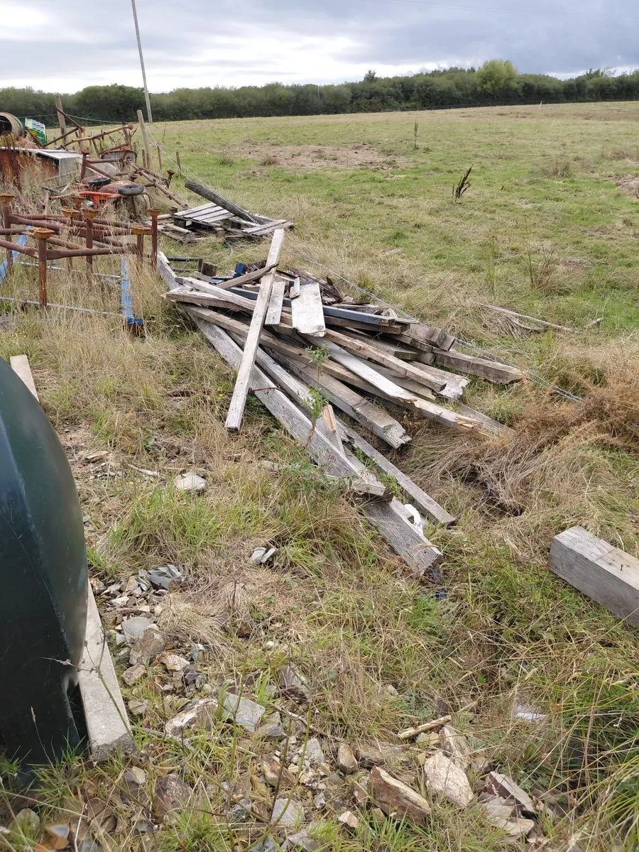 Firewood - Image 3