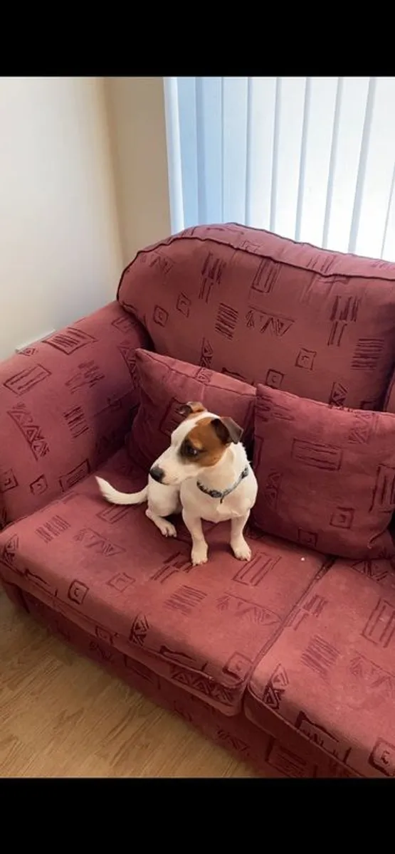 sofa Bed - Image 1