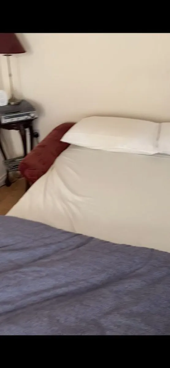 sofa Bed - Image 2