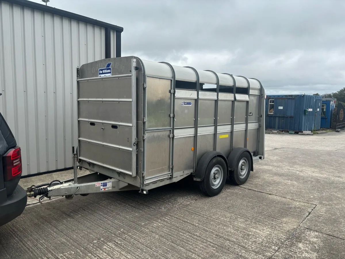 2022 Ifor Williams 12x6 Livestock Trailer - Image 1