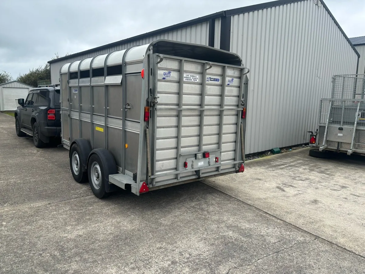 2022 Ifor Williams 12x6 Livestock Trailer - Image 2