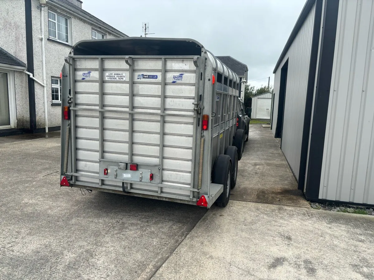 2022 Ifor Williams 12x6 Livestock Trailer - Image 3
