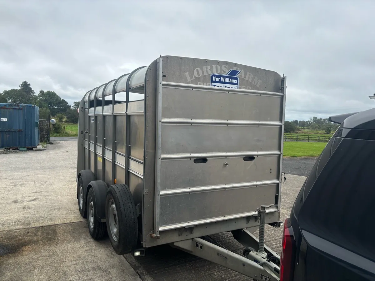 2022 Ifor Williams 12x6 Livestock Trailer - Image 4