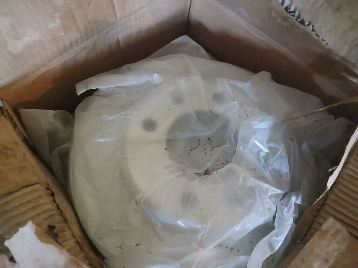 Peugeot partner break discs - Image 1