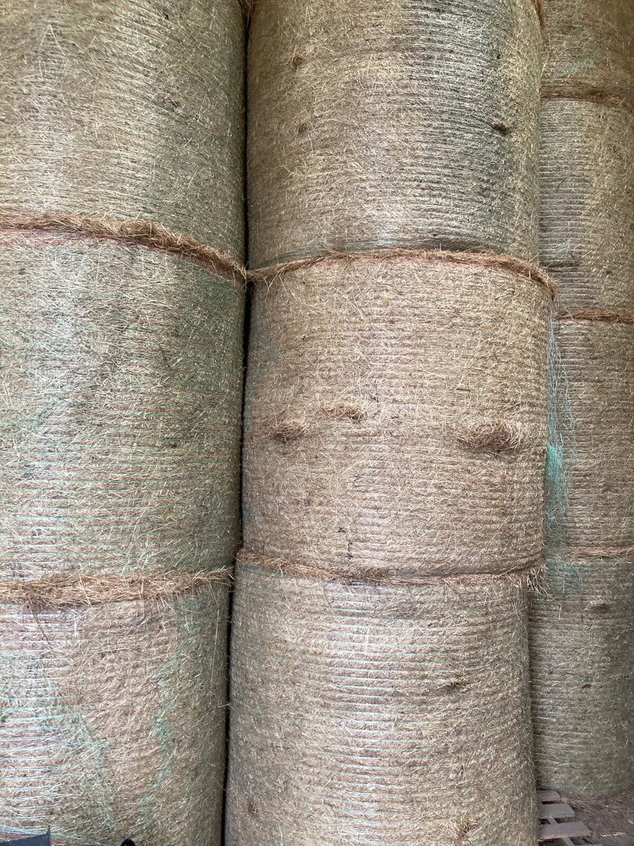 Hay - Image 3