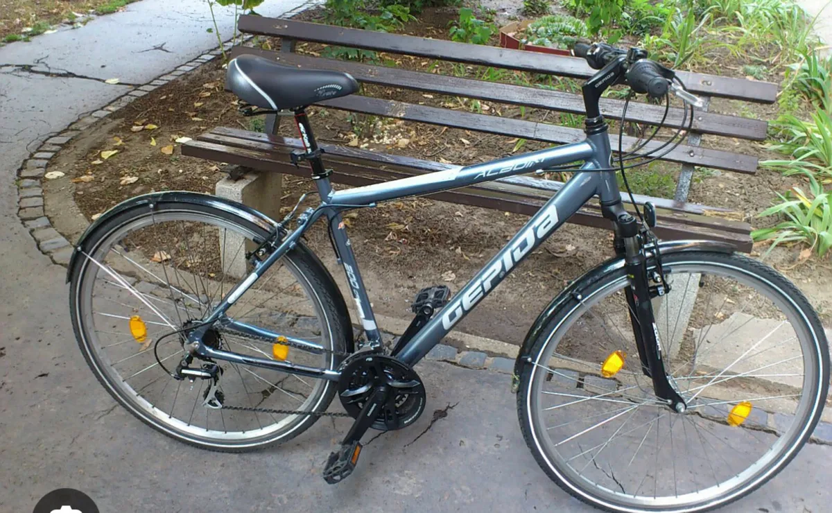 Gepida Albion Sports Hybrid Bike