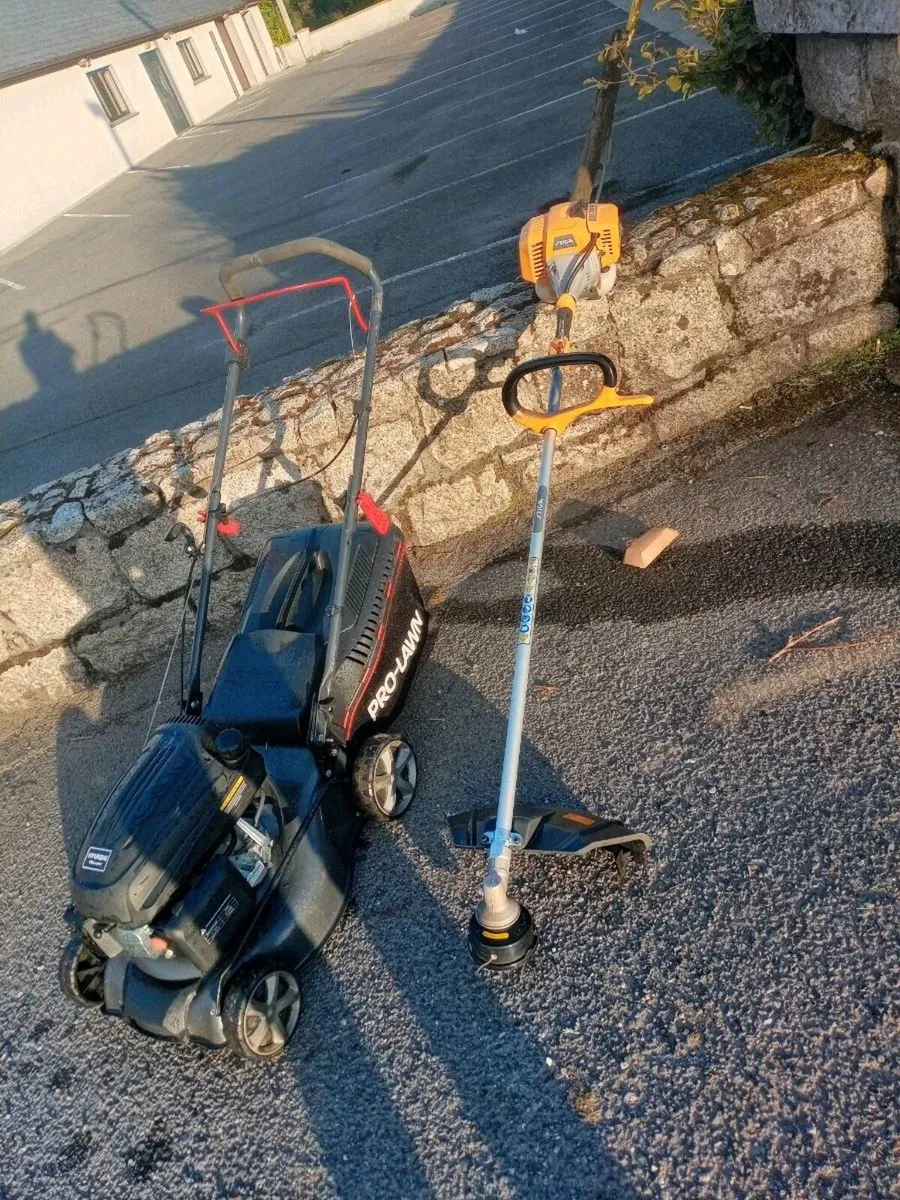 Hyundai Lawnmower/Stiga industrial strimmer - Image 1