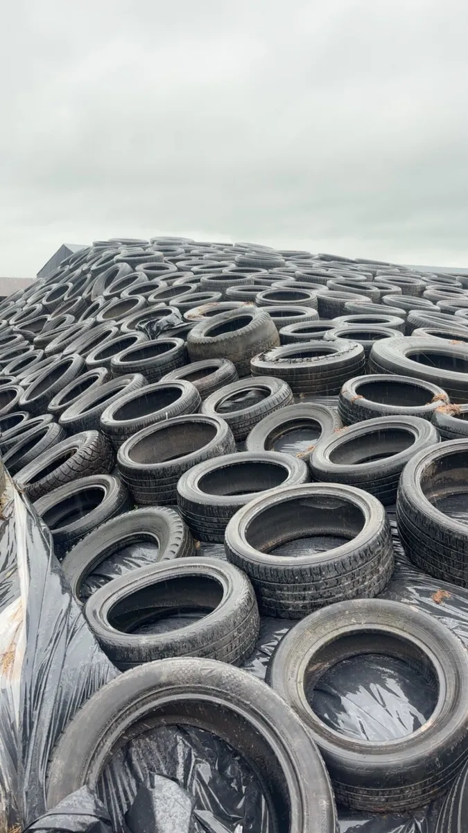 Pit Silage