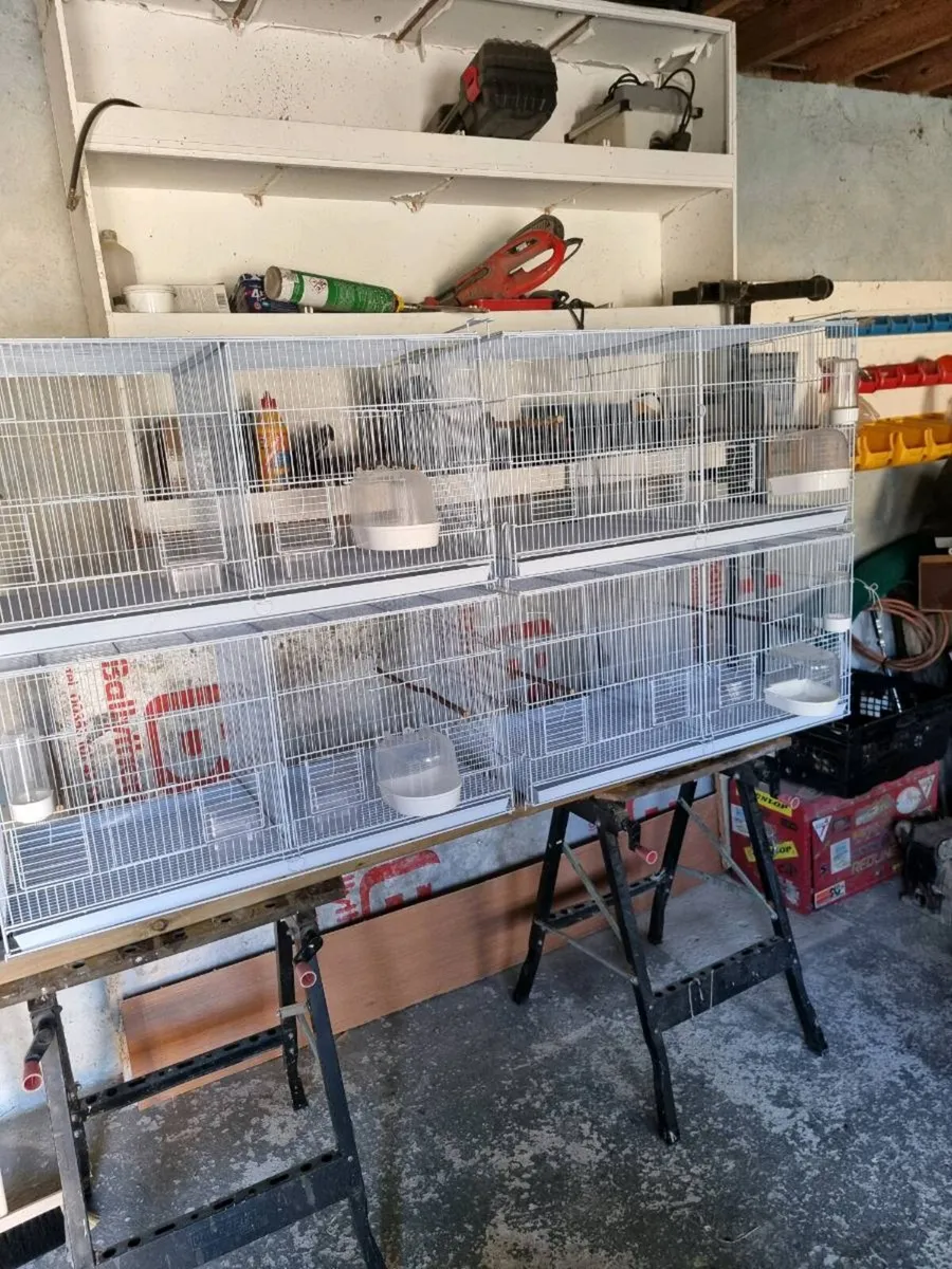 Cages - Image 1
