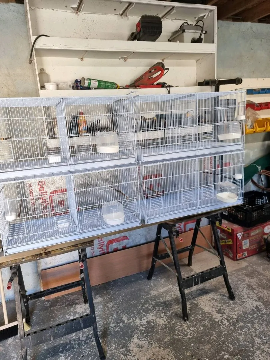 Cages - Image 3