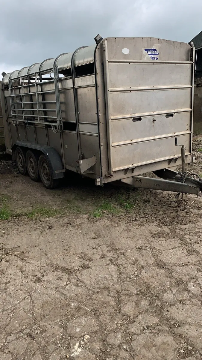 Livestock trailer - Image 3