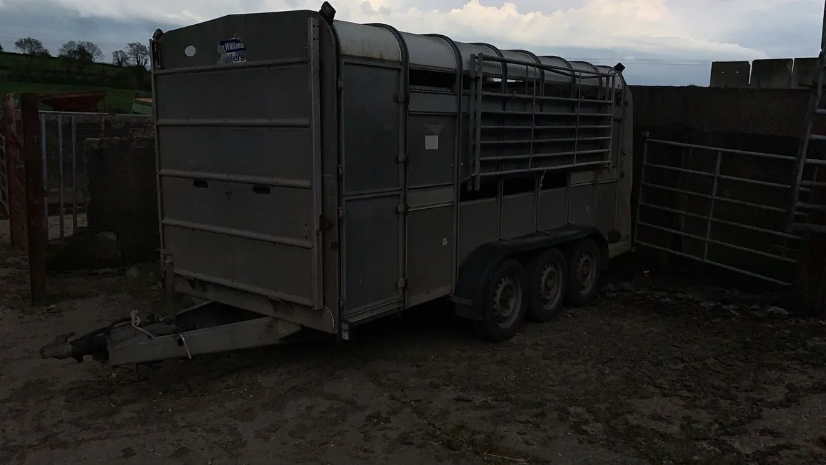 Livestock trailer - Image 4