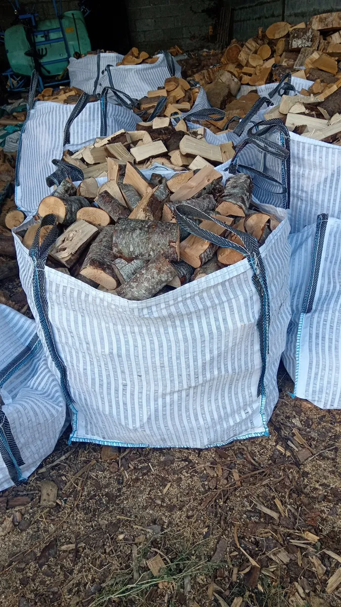 Firewood - Image 3