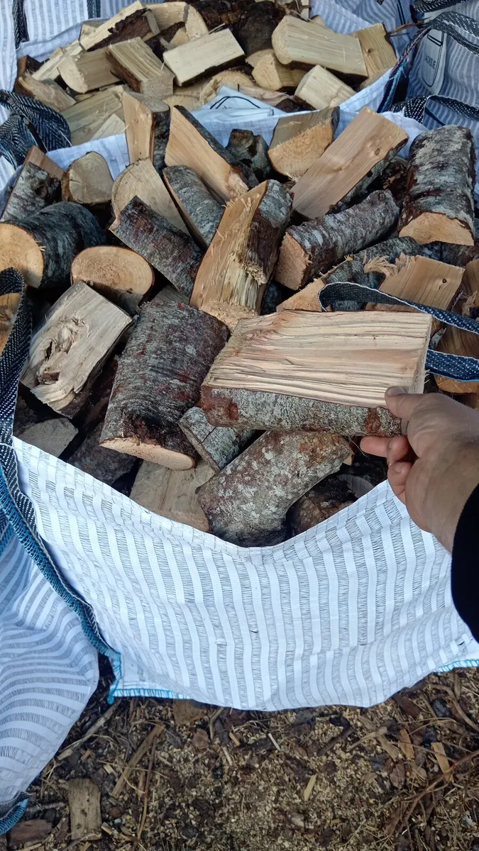 Firewood - Image 4