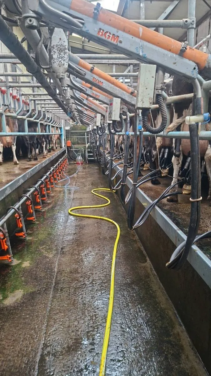 Relief milker Farm work