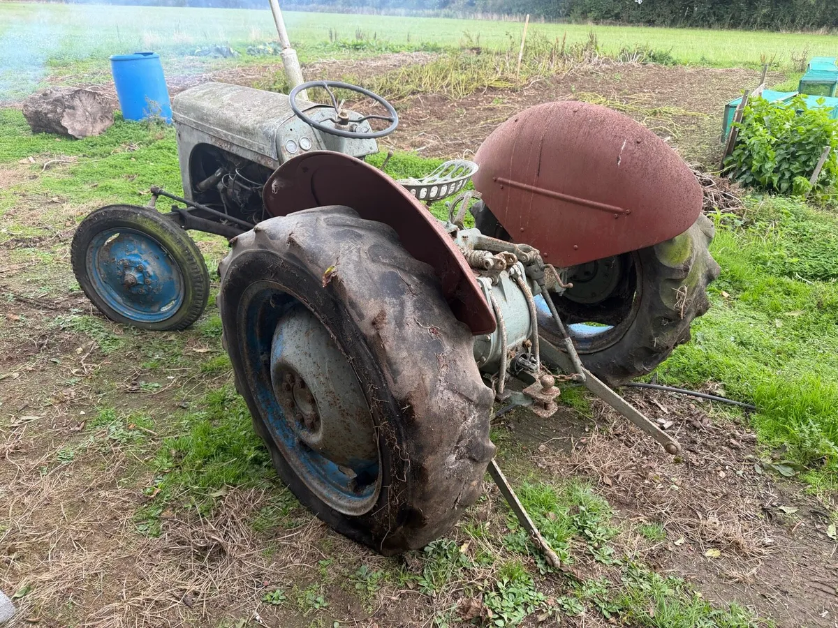 Grey Ferguson 20 Diesel - Image 2