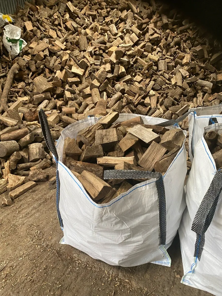Firewood - Image 2