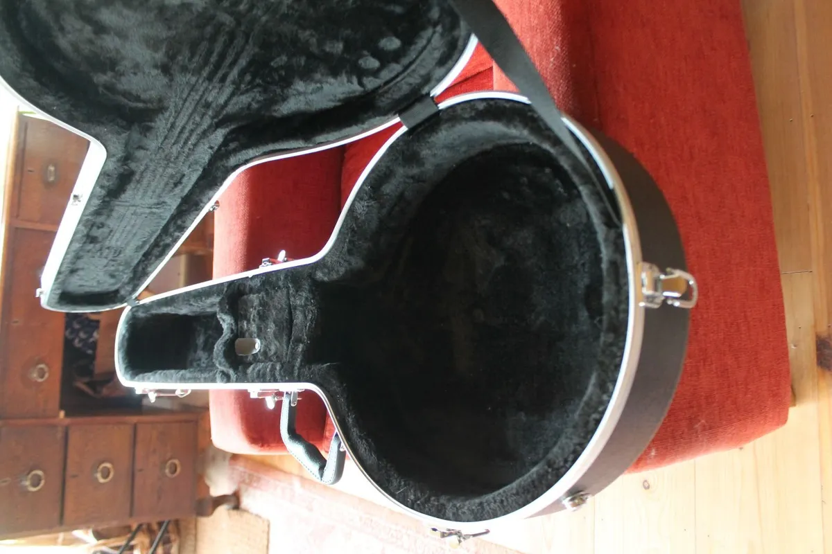 Gator banjo case - Image 3