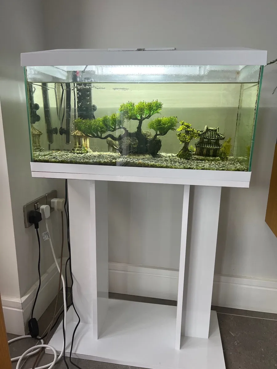 Aquarium