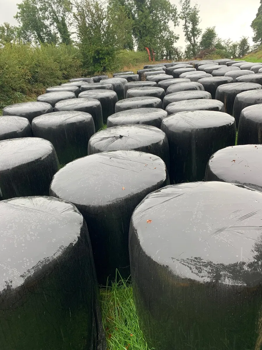 round bale silage