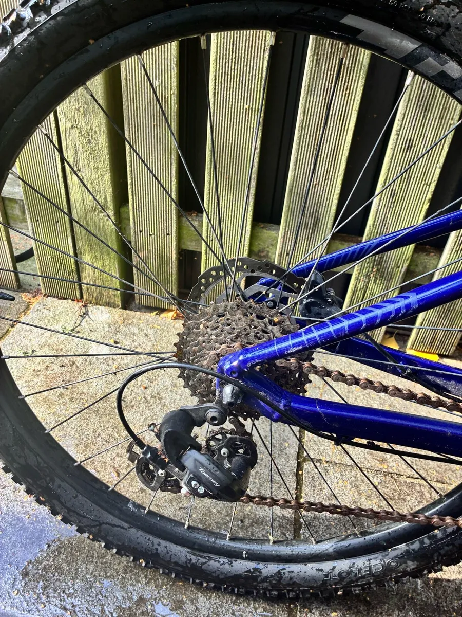 ORBEA bike xs frame - Image 3