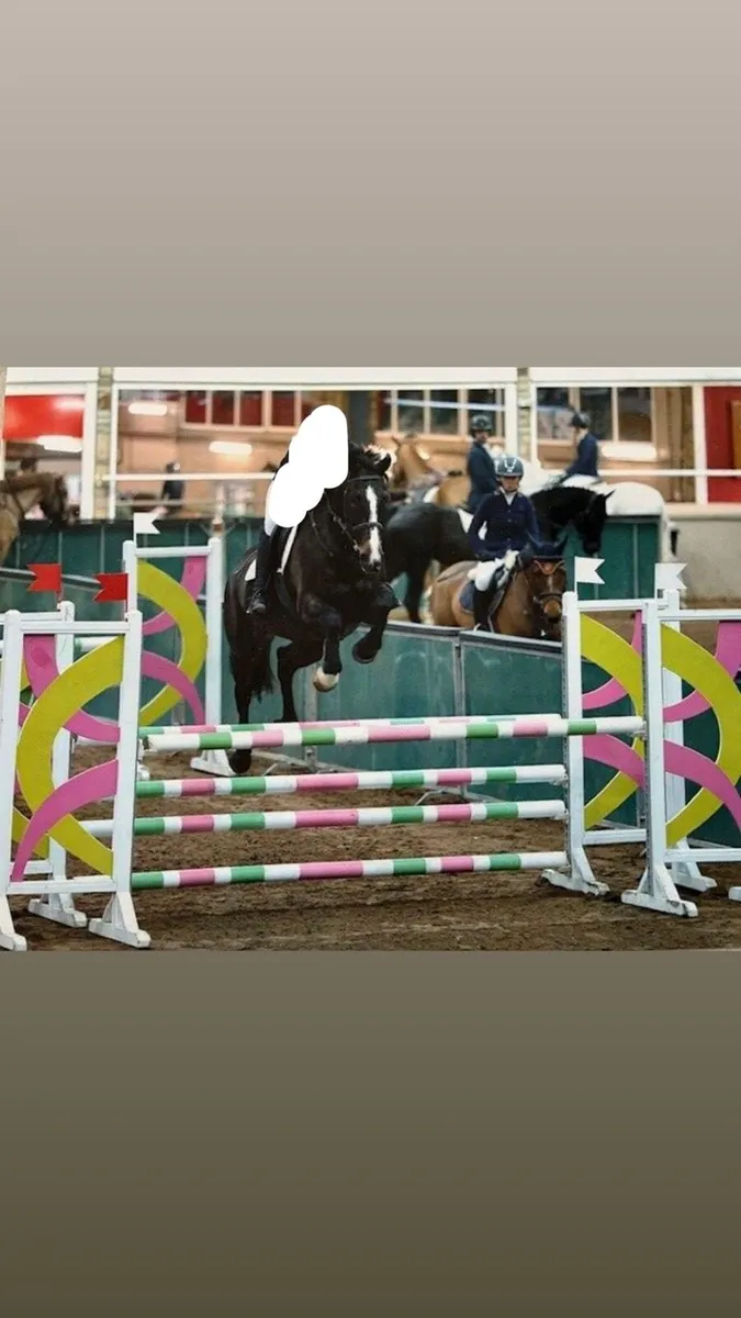 16.2 ISH Mare - Image 2