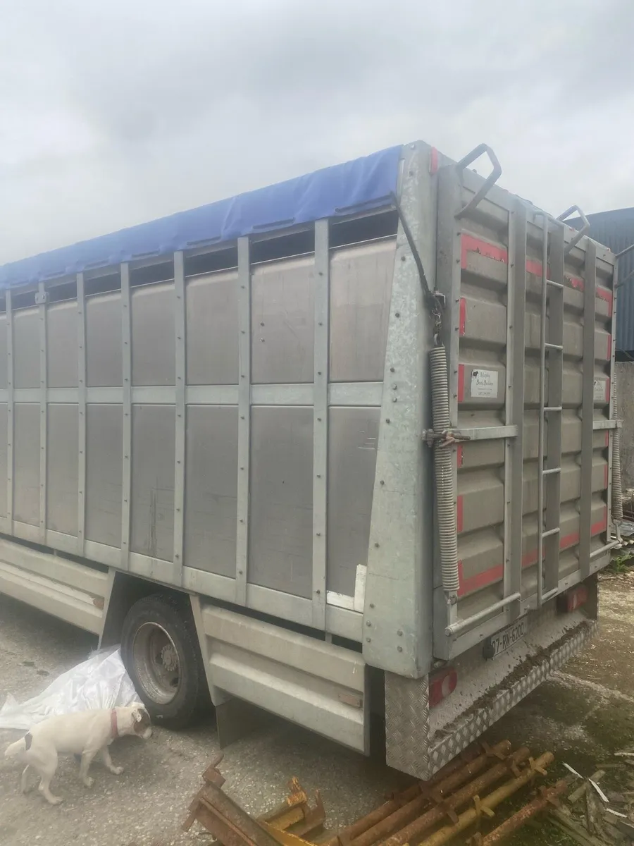 Cattle truck - Image 3