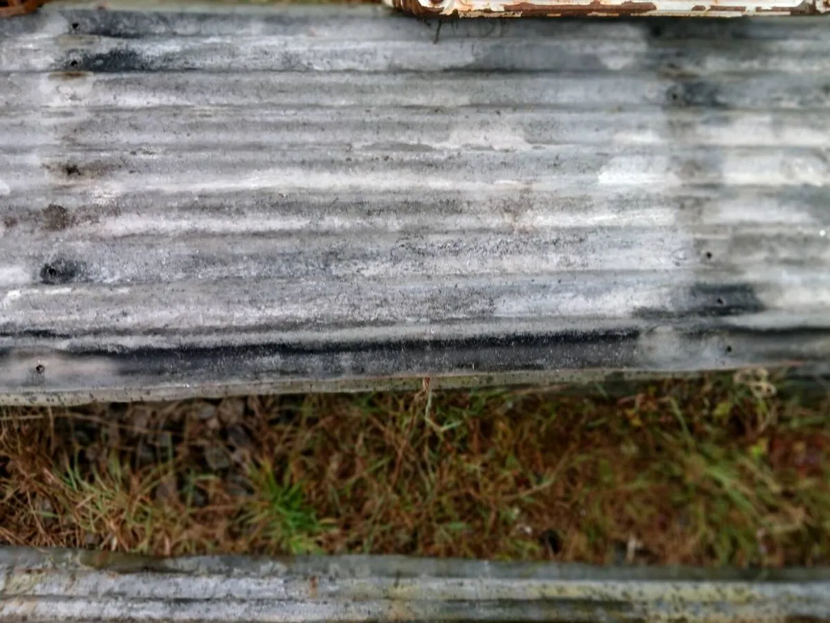 Curogeted tinn - Image 2