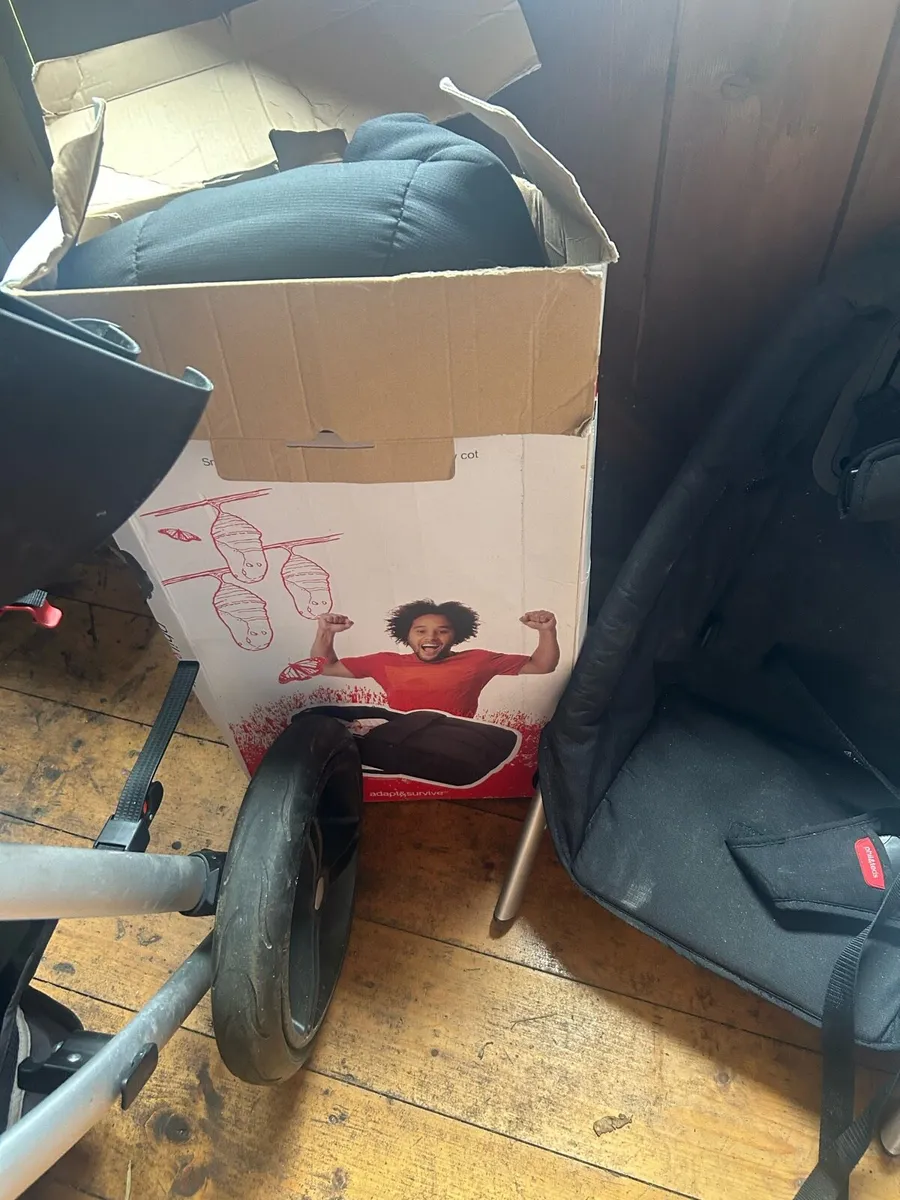 Phil & Ted buggy - Image 2