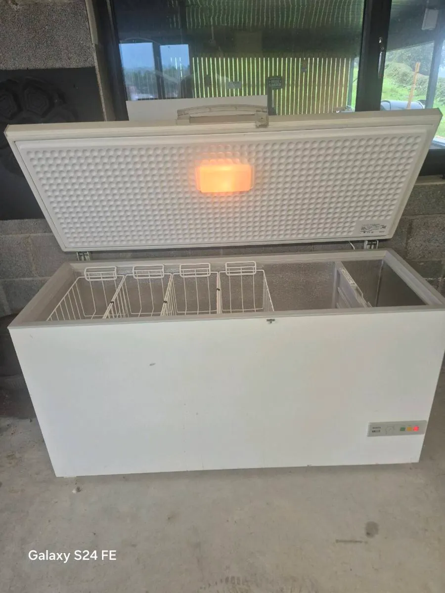 Bosch Freezer - Image 4