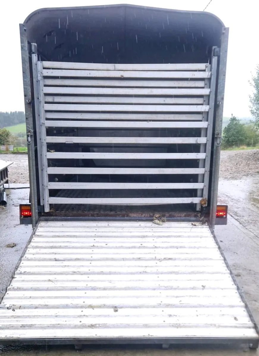 12X5'10 Livestock Trailer - Image 3