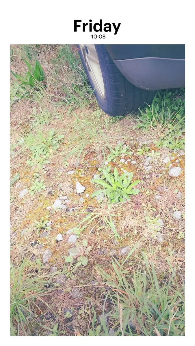 Car parts - Image 3
