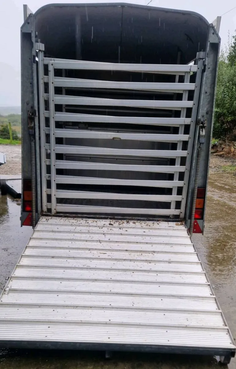 10X5 Ifor Williams Trailer - Image 4