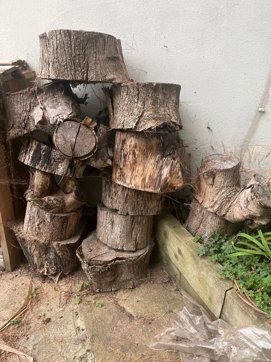 Tree Rounds