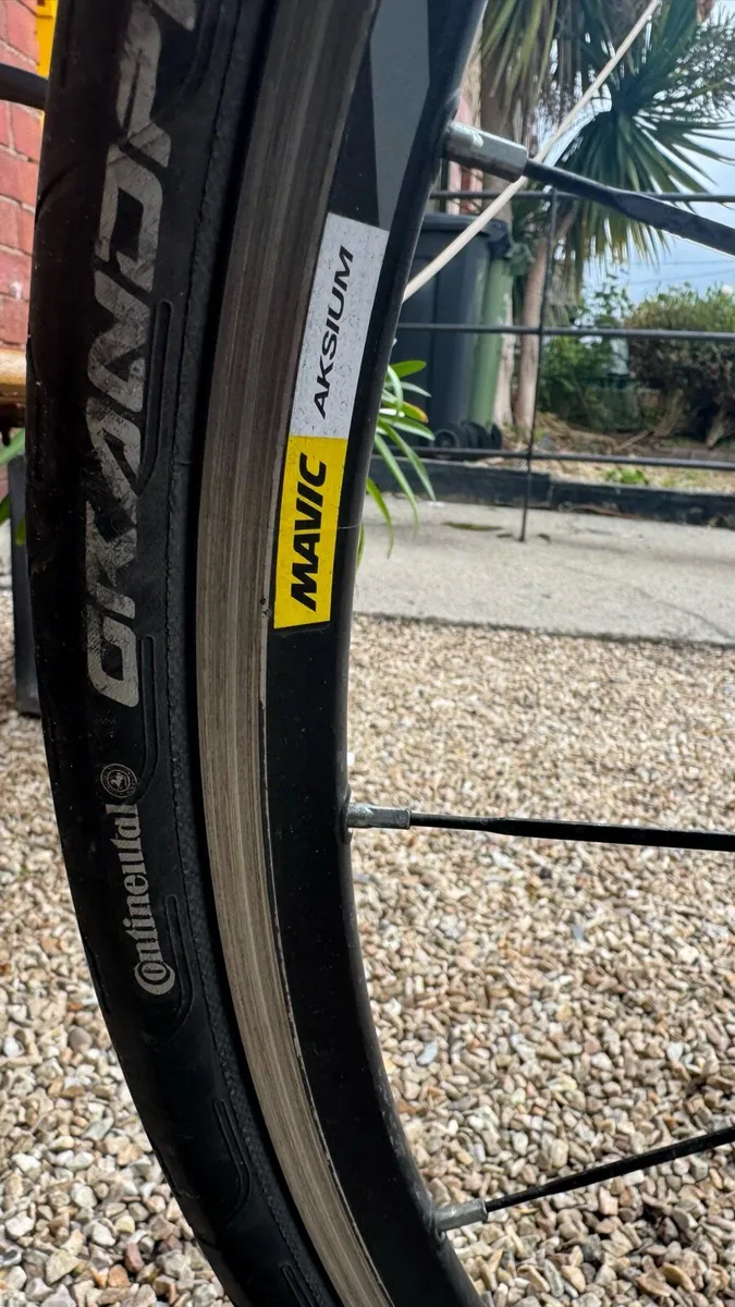 Canyon Endurance Al 8 XL - Image 4