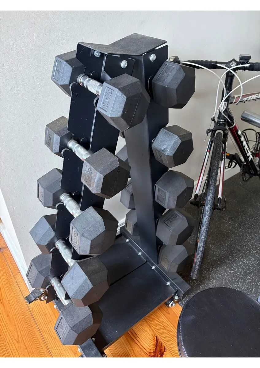 Gym Equipment - Image 3