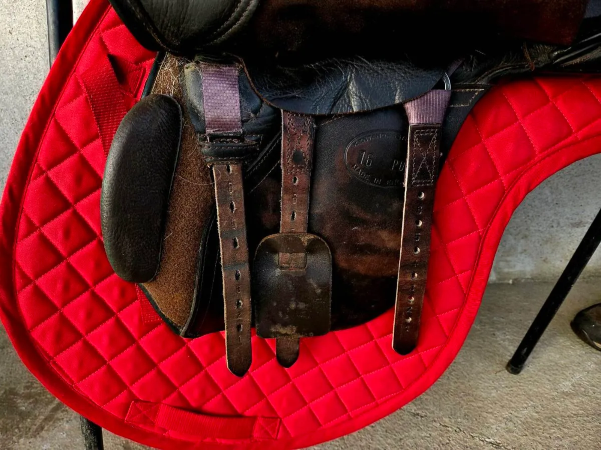 Kent and masters saddle - Image 2